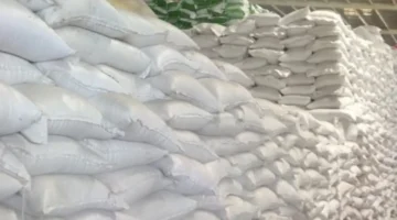 مقاطعة تاي نينه توفر دعماً بالأرز لـ 553 طالباً من الأقليات العرقية